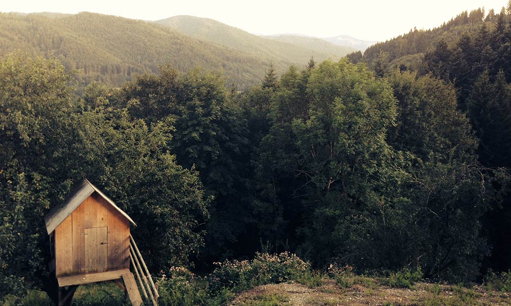 La UNSL participa de una nueva edición de «Archivos en Vigilia»